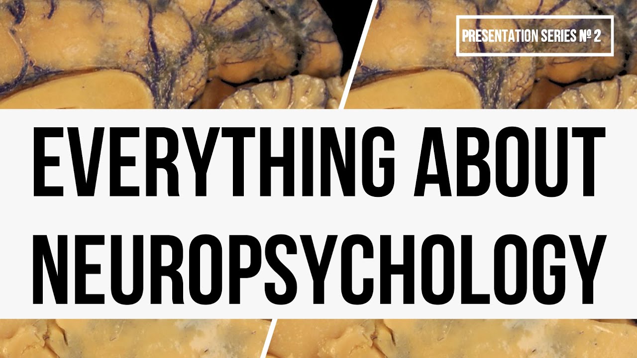 Want to Unlock the Secrets of Your Brain? Learn Neuropsychology in 2024