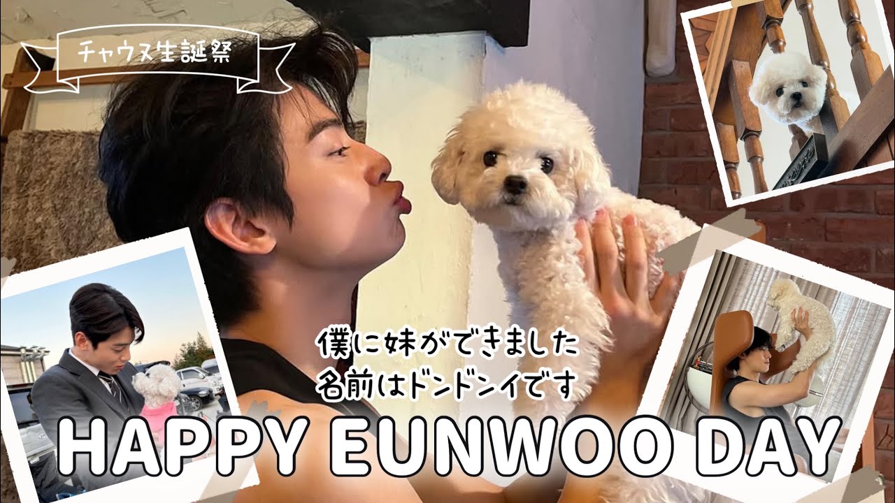 🎂HAPPY EUNWOO DAY‼️🎉〜僕の妹はドンドンイ〜【チャウヌ/日本語字幕】