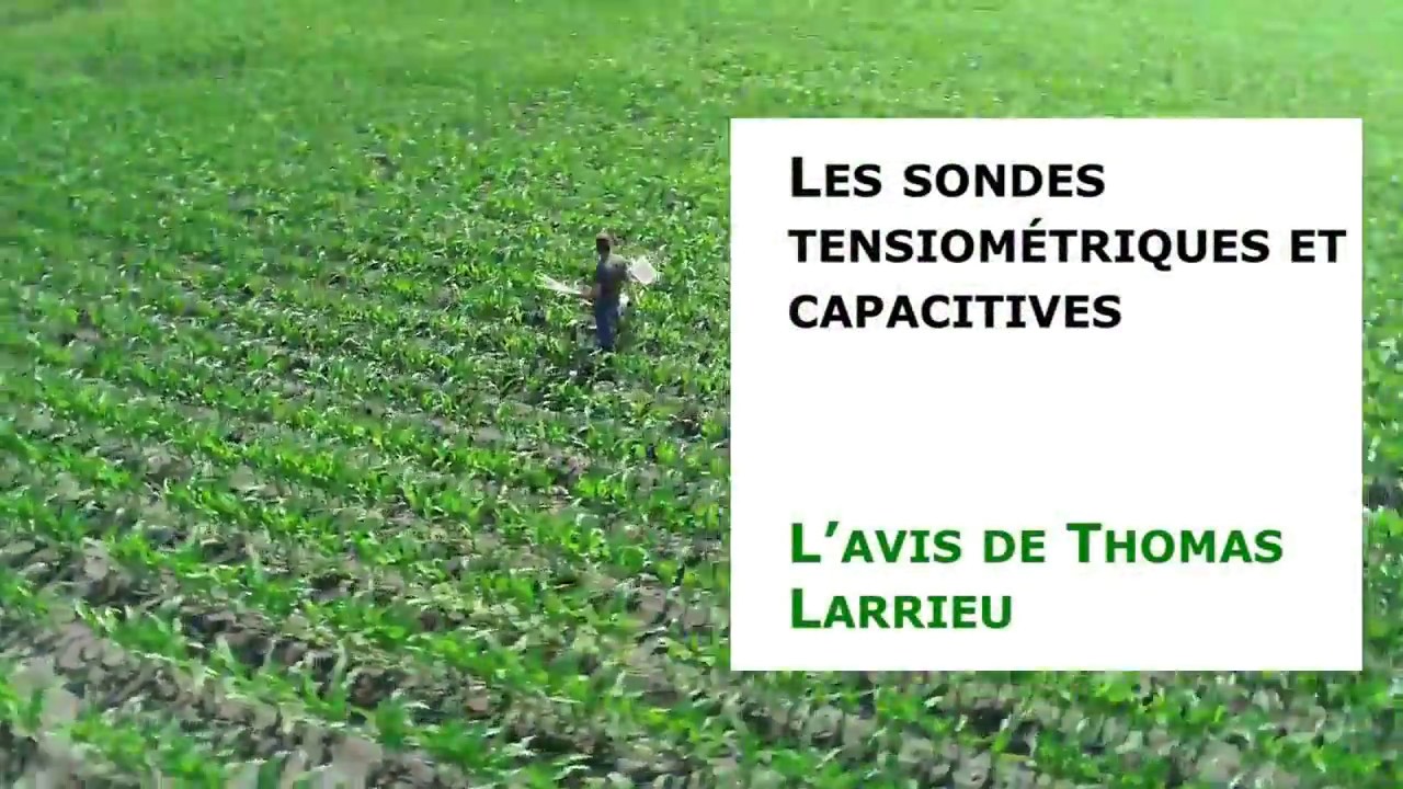 Les sondes tensiométriques et capacitives pour piloter l'irrigation