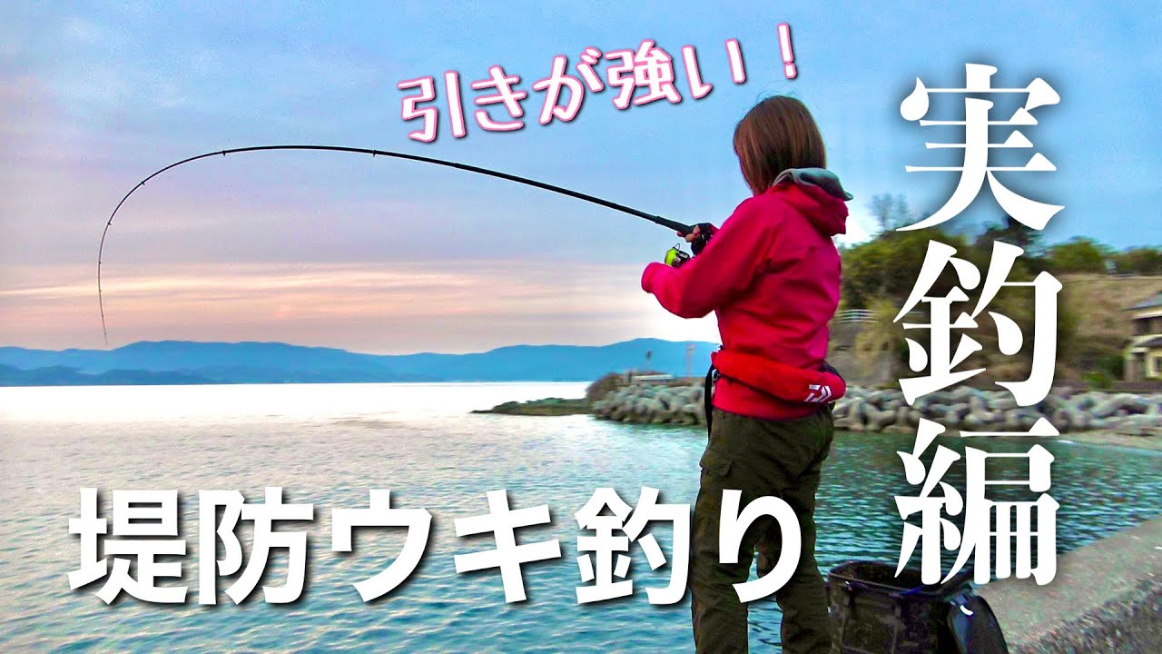 【実釣編】堤防フカセ釣りで本当に釣れちゃいました。