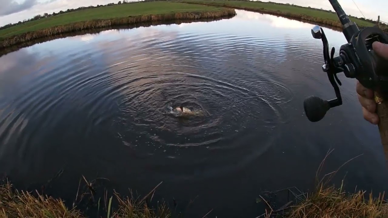 How to find good pike polders. Exploring poldersystems, action packed day with Luc Coppens
