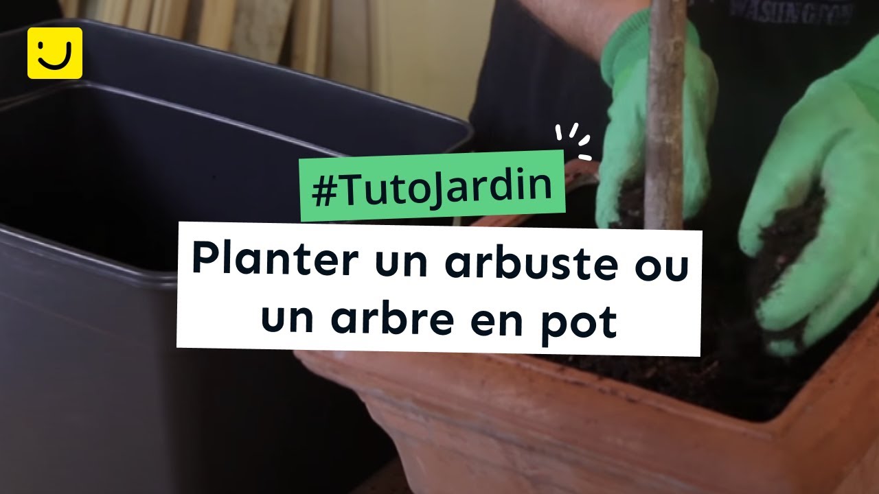[Tuto Jardin] Planter un arbuste ou un arbre en pot
