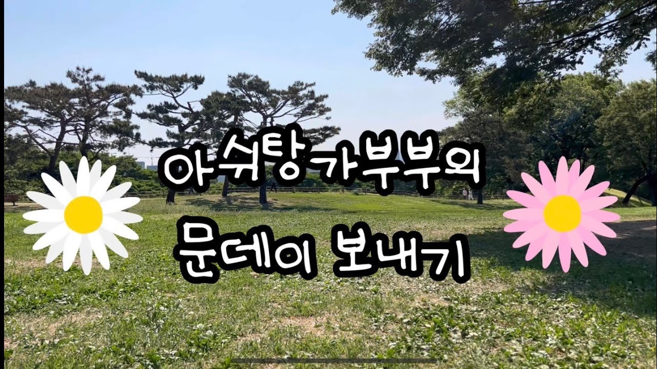 올림픽공원 야외요가