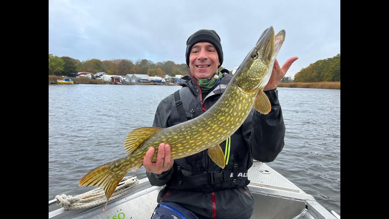 FlyzFishing - Pêche à la mouche brochet Suède 2024
