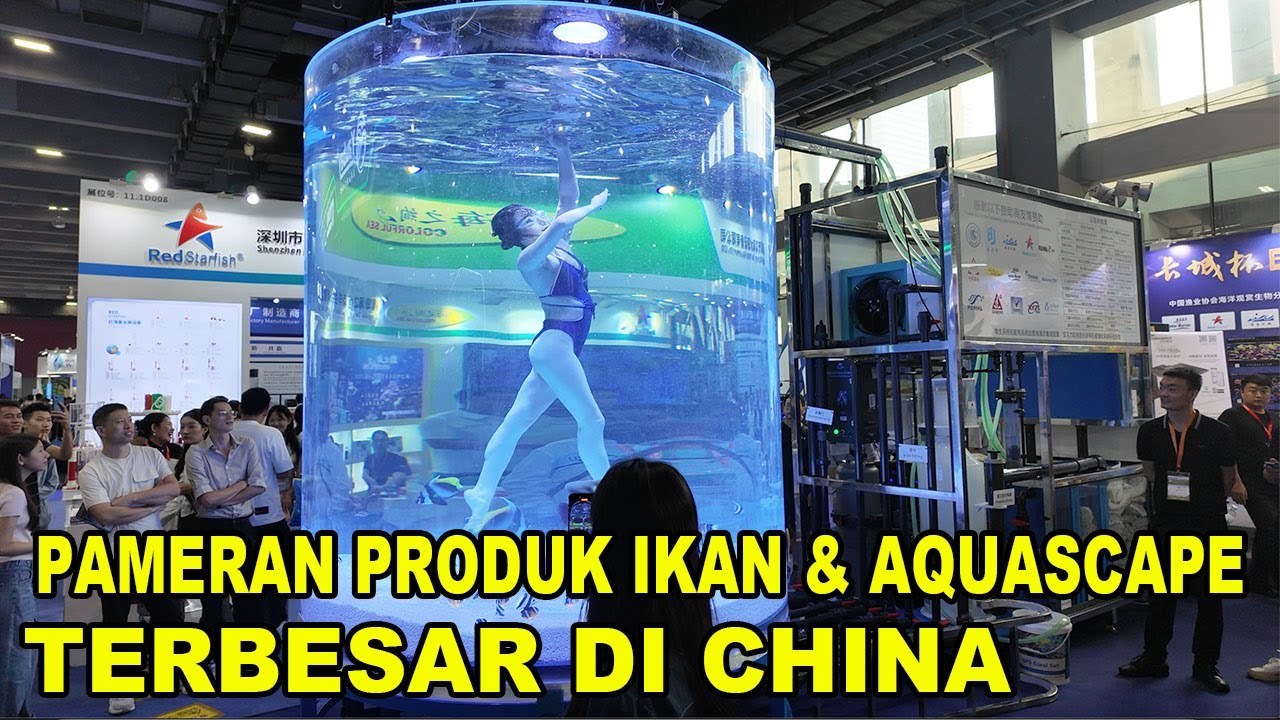Surga Penghobi Akuarium: Jelajahi Inovasi Terbaru di Pameran Terbesar Asia - CIPS 2024