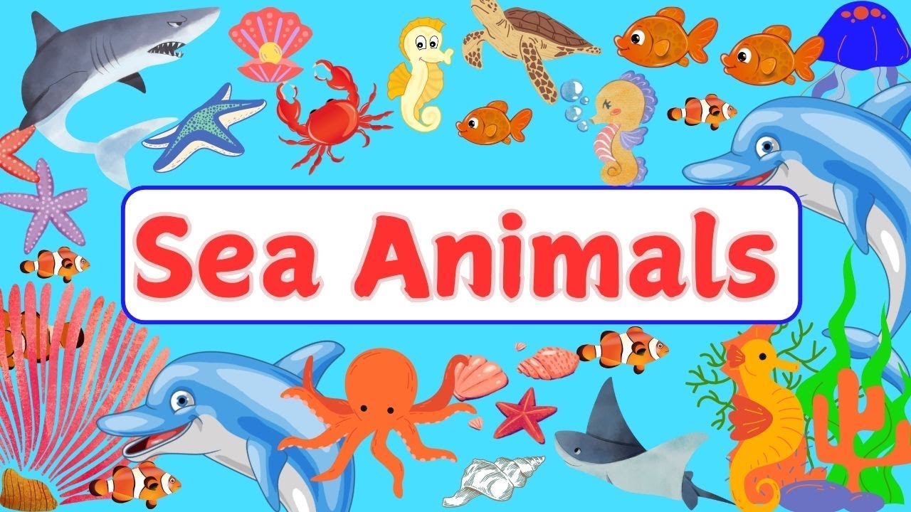 Sea Animals Vocabulary for Kids | Learn English Words with Ocean Animals