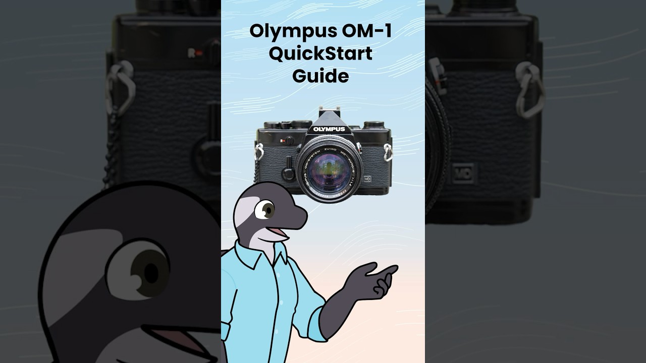 Краткое руководство по использованию пленочной камеры Olympus OM1 #пленочнаяфотография #пленка #ф...