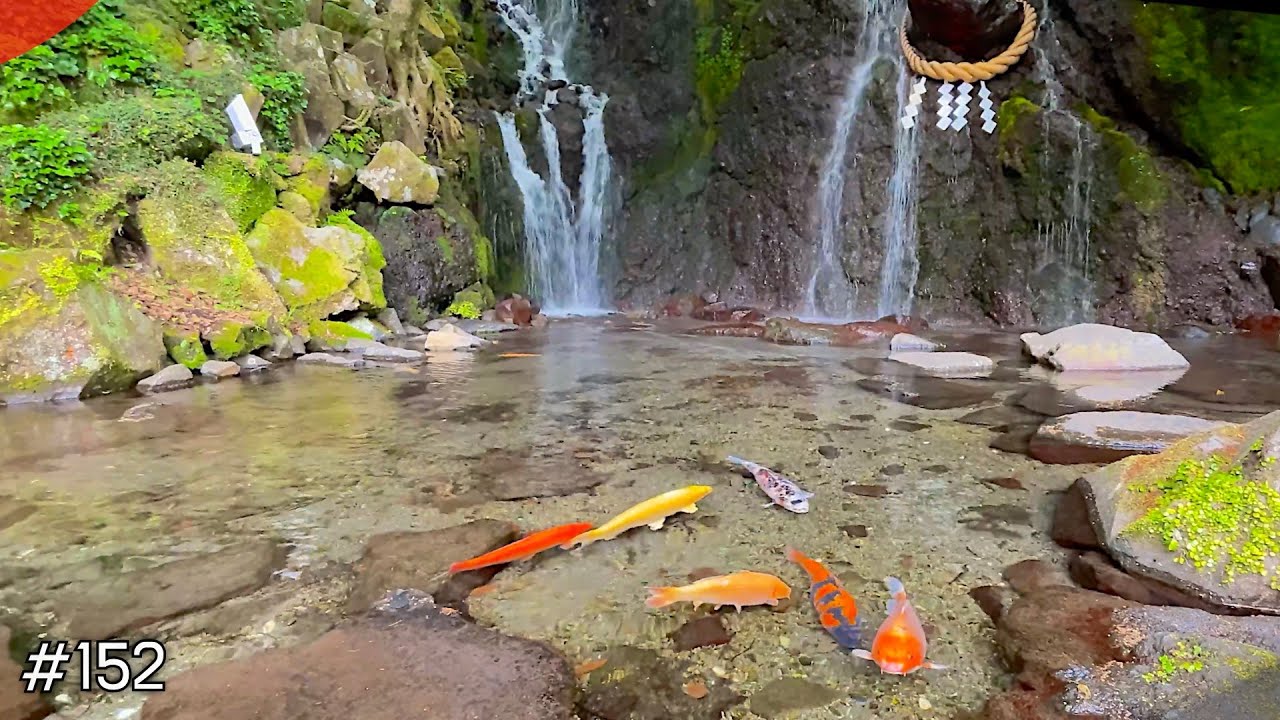 «Священный водопад и кои»