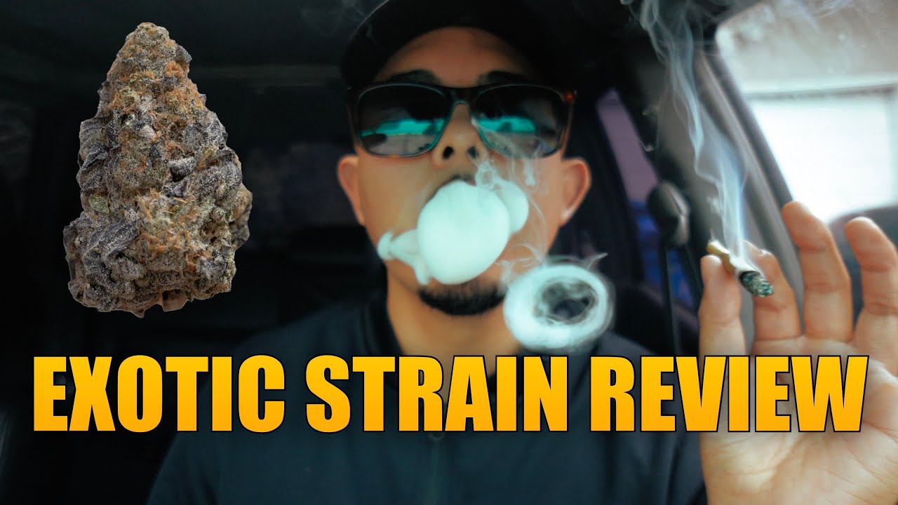 HOTBOX STRAIN REVIEW | REAL BLUE COOKIES