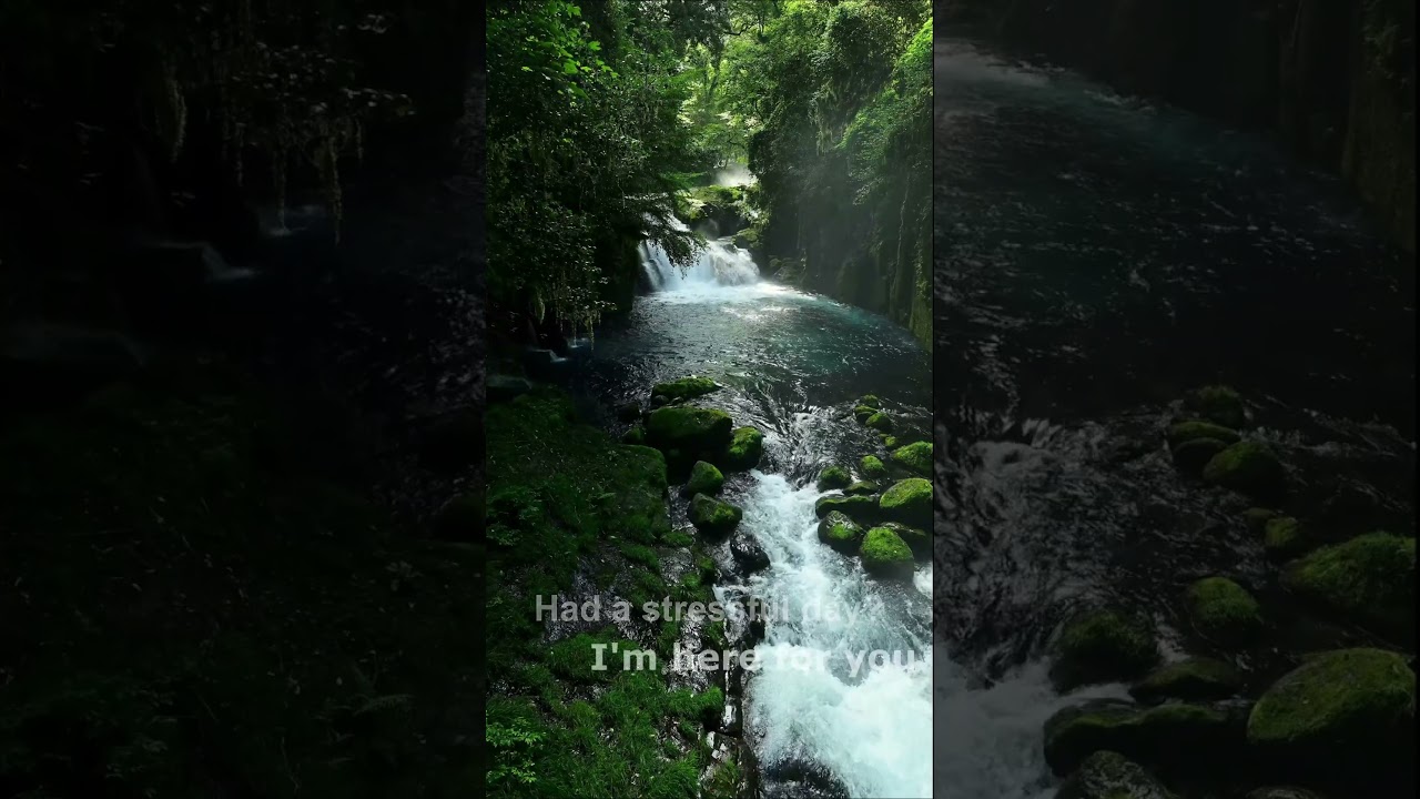 Nature's ASMR: Forest Stream Sounds #relaxation #sleep