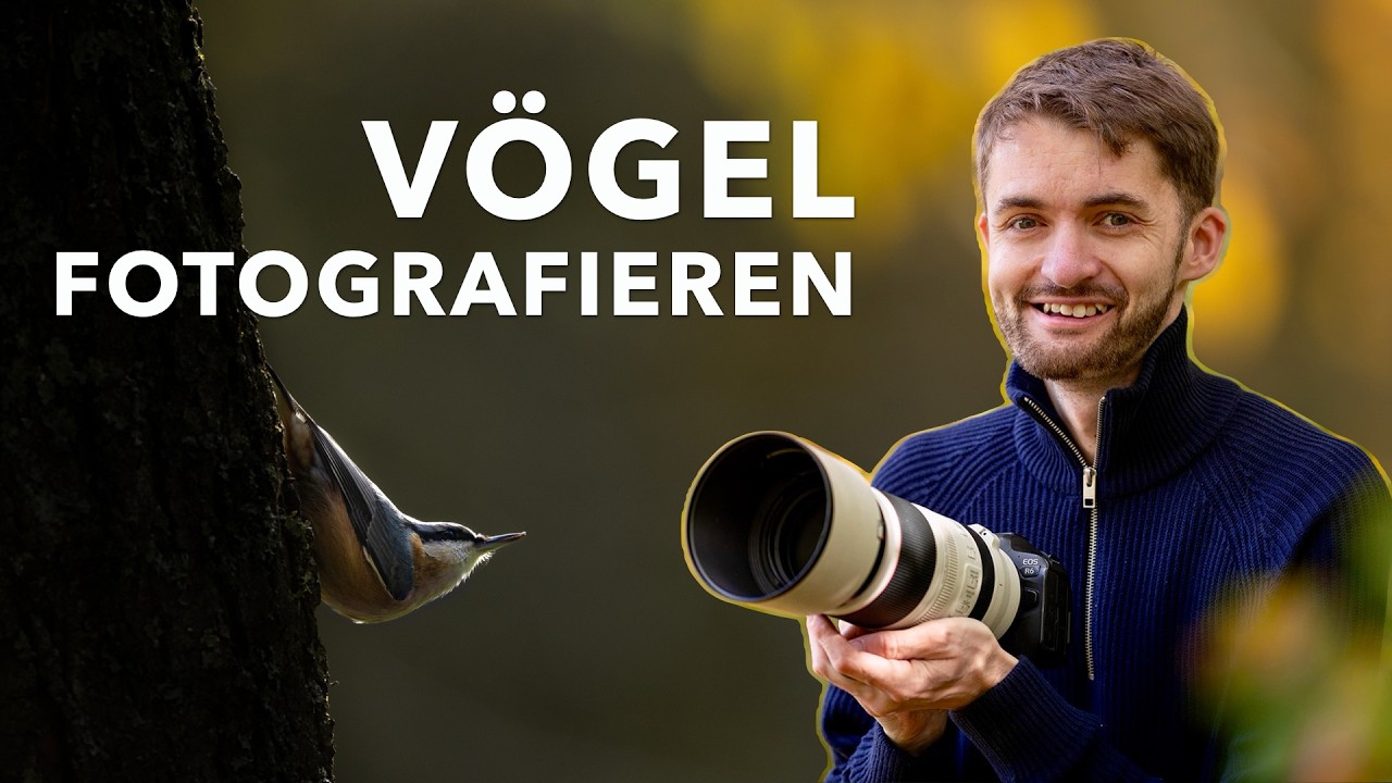 Mein Trick für scharfe & stimmungsvolle Vogelfotos im Winter