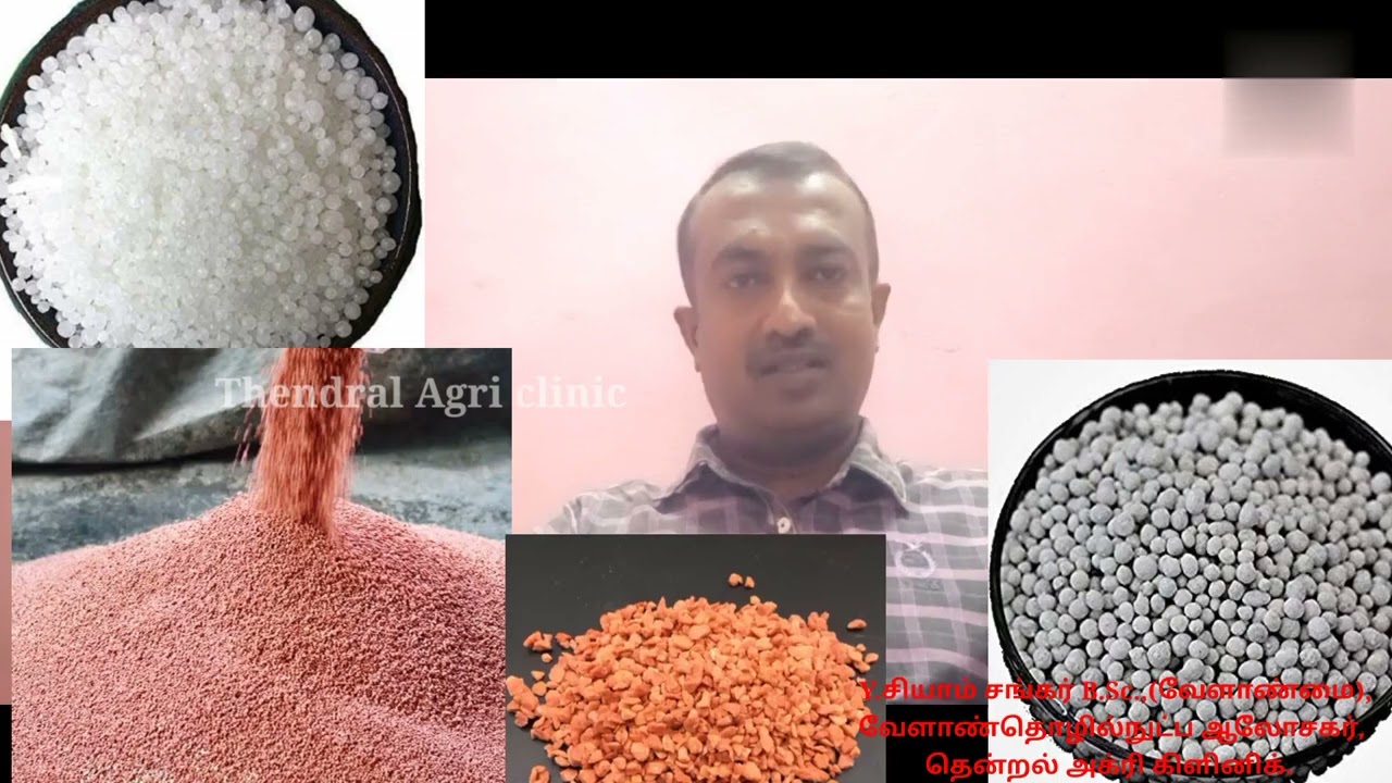 நீரில் கரையும் உரங்கள்,மண்ணில் இடும் உரங்கள் முழு விளக்கம்/பயன்கள் மற்றும் இடும் முறை/Thendral Agri