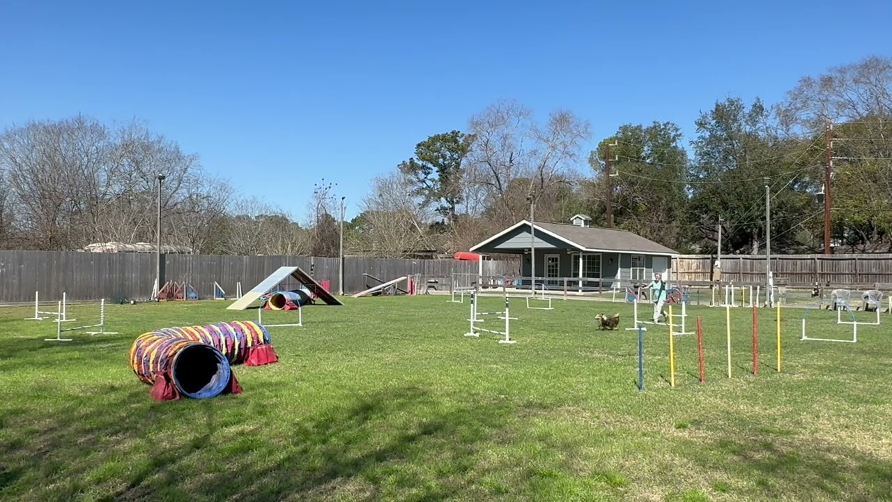 B.J., Killer B’s, Team Winter ‘26, Course #4