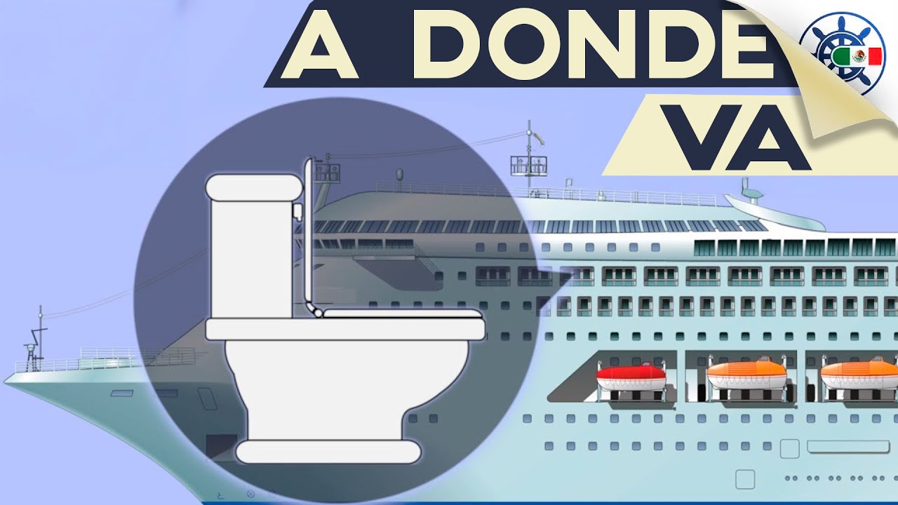 ¿Cómo Funcionan los Baños en los Cruceros?