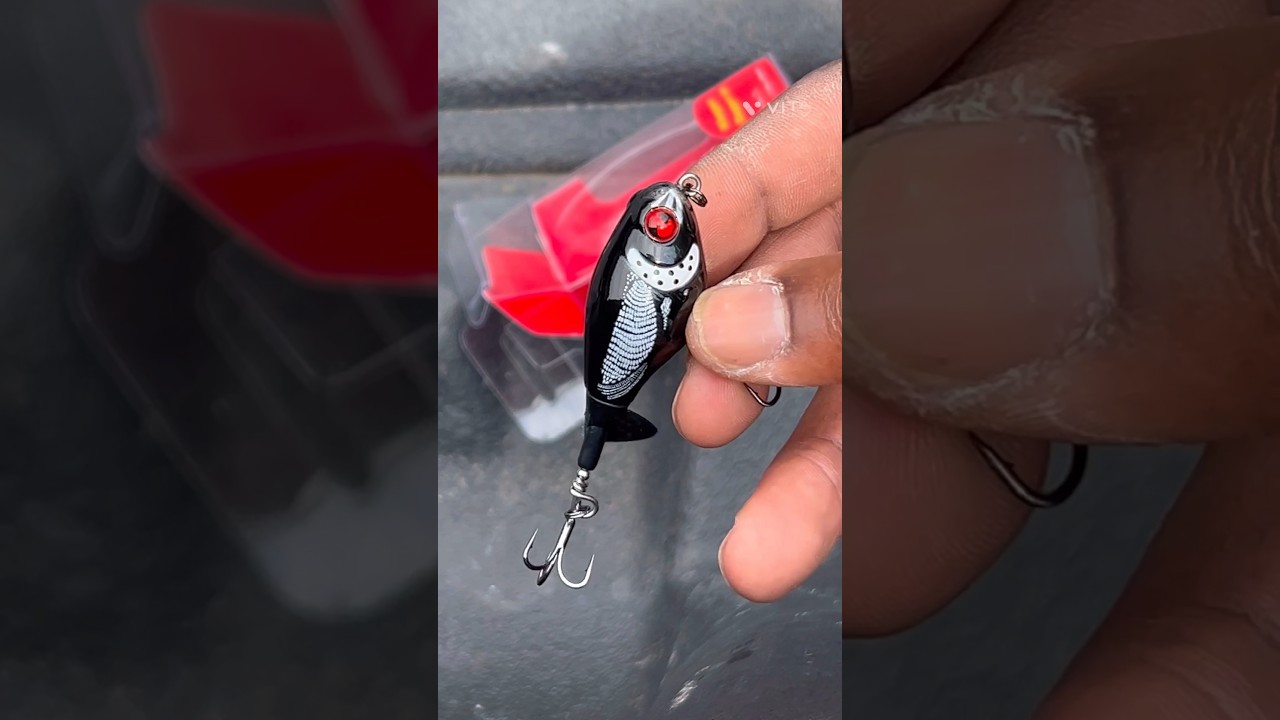 😱 Whopper Plopper 60😱 a topwater bait by @River2SeaUSAOfficialvideos , #fishing #largemouthbass