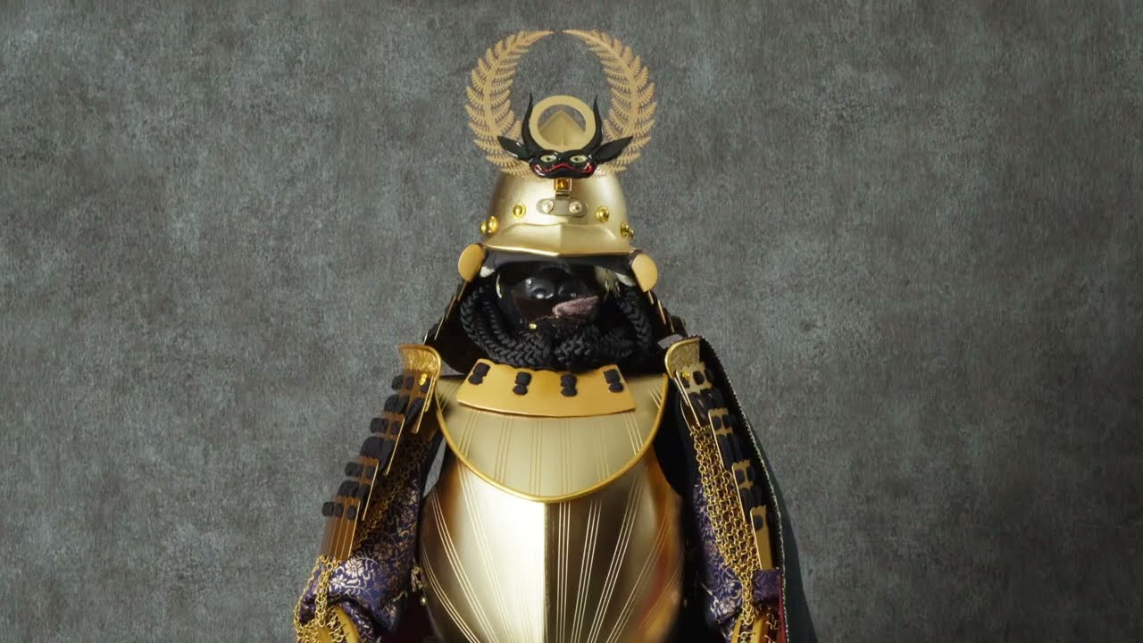 Samurai Armor of Ieyasu Tokugawa .A legendary hero in Japan who established the Tokugawa Shogunate