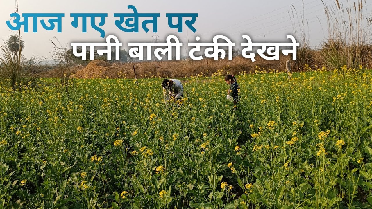 आज गए खेत पर पानी बाली टंकी देखने।😀😜
