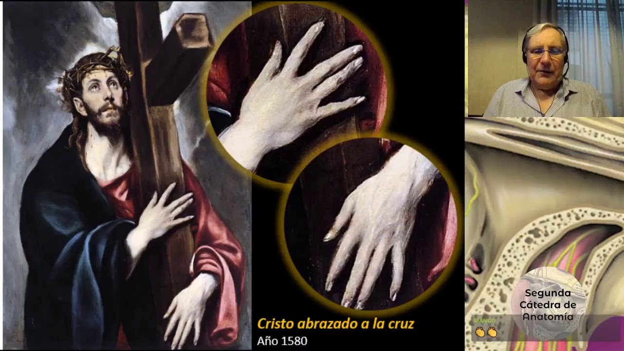(2020) L5 | Mano | Profesor Eduardo A. Pró | Anatomía 2 | FMed UBA
