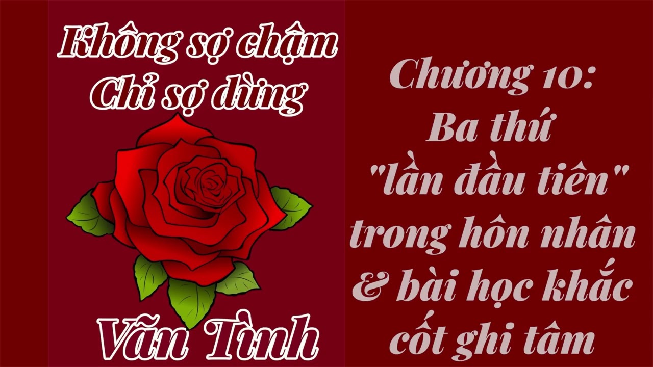 Không sợ chậm chỉ sợ dừng-Vãn Tình (chương 10)| Góc Của Mây 