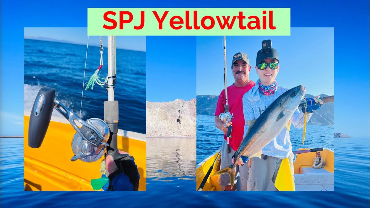 NON-STOP Slow Pitch Jigging Yellowtail | Mexico | Sea of Cortez