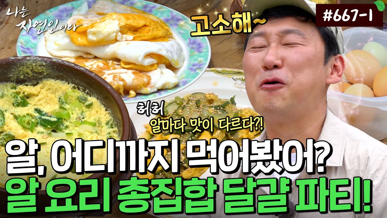 달걀, 청계알, 칠면조알..이 세상 알 요리 총집합한 자연인의 식탁ㅋㅋㅋ ｜자연인 다시보기 667-1