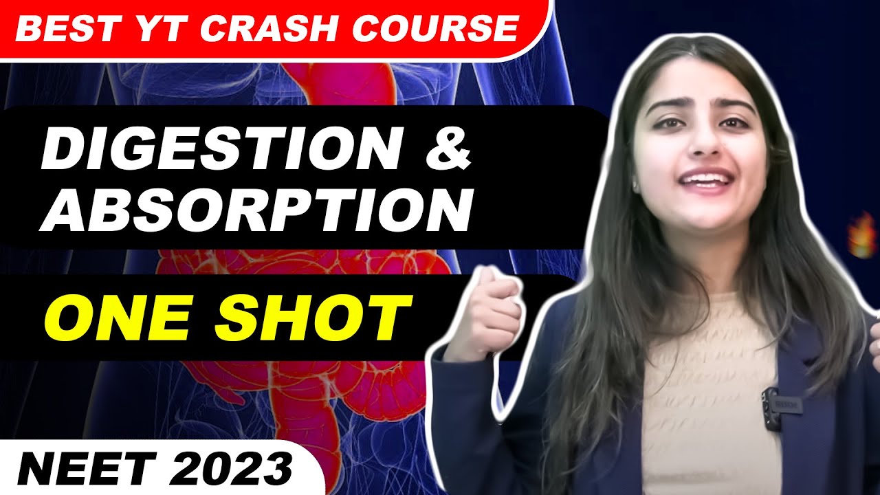 Digestion & Absorption - One Shot | Best YT Crash Course | @SeepPahuja #neet2025