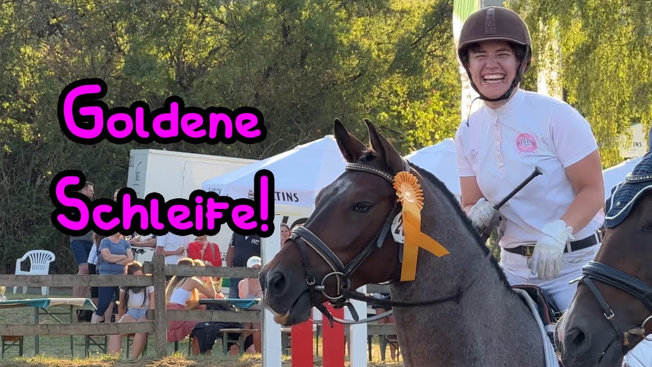 GOLDENE SCHLEIFE bekommen! 🦄 Turnier 😍
