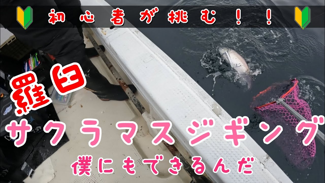 🔰初心者🔰が挑む！！【羅臼サクラマスジギング】#サクラマスジギング #フィッシュマン  #羅臼