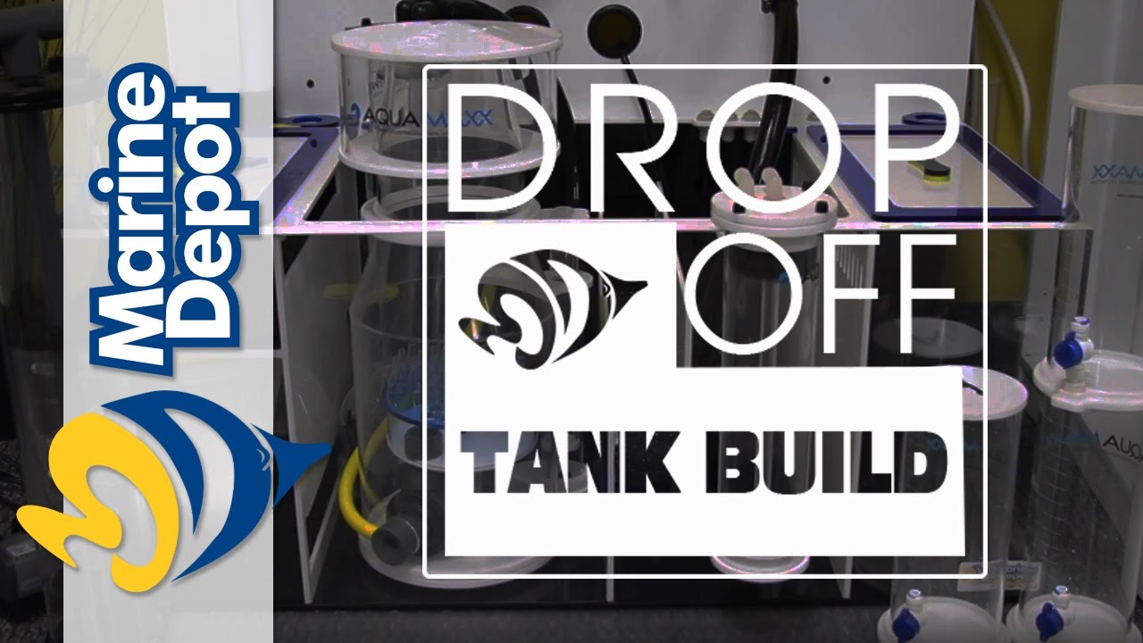 Drop-Off Tank Build #2: Sump Install + Which Rock Should We Use?