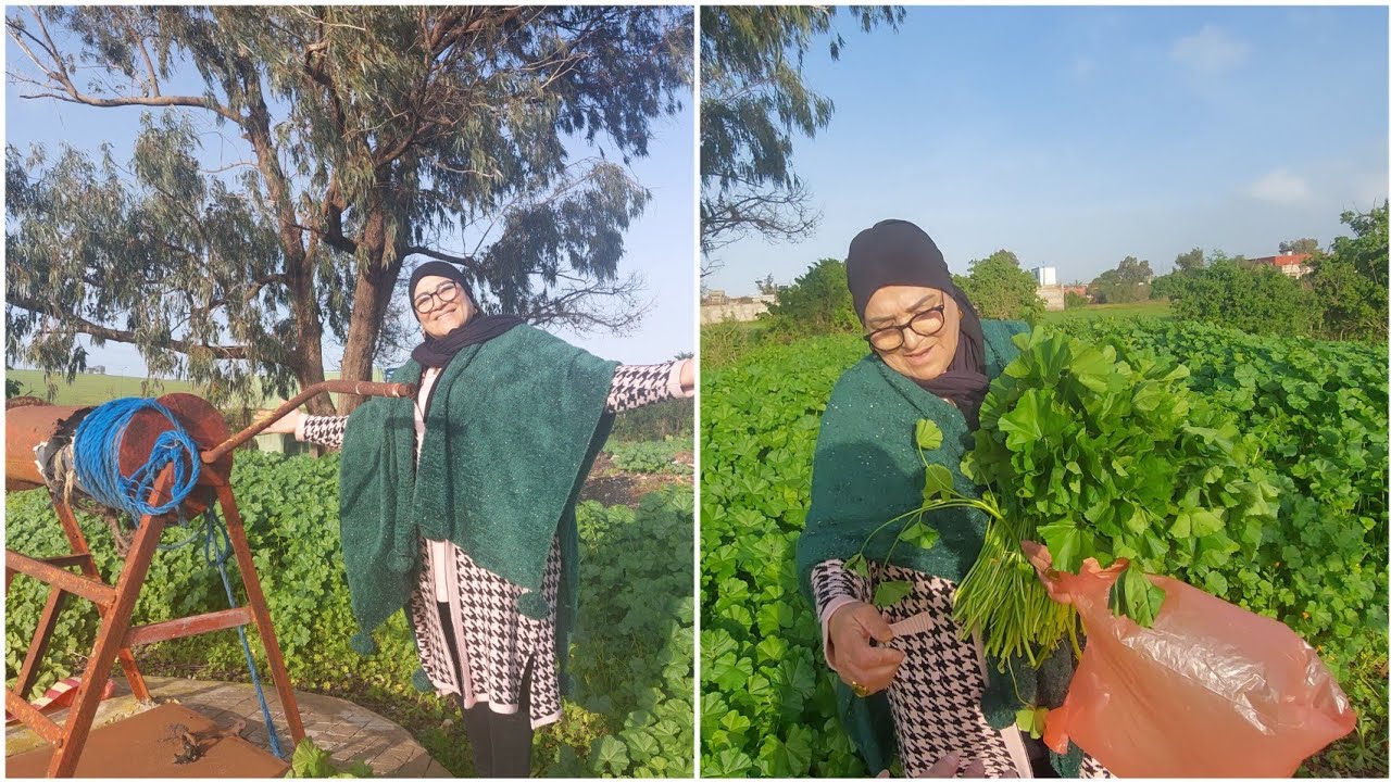 خرجت من المدينة في بلادي الزوينة مع حنان و سمية الحنينة 🇲🇦🇲🇦