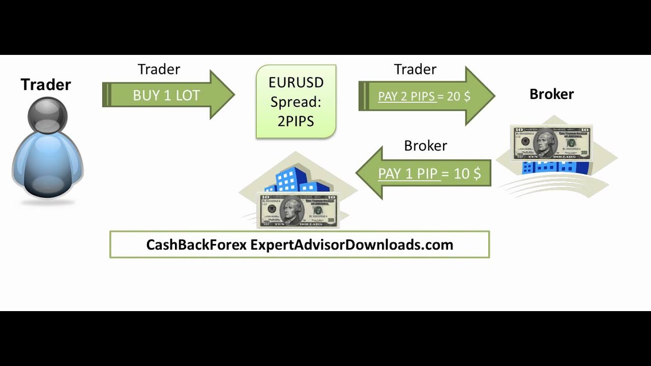 Cash Back Forex ExpertAdvisorDownloads.com