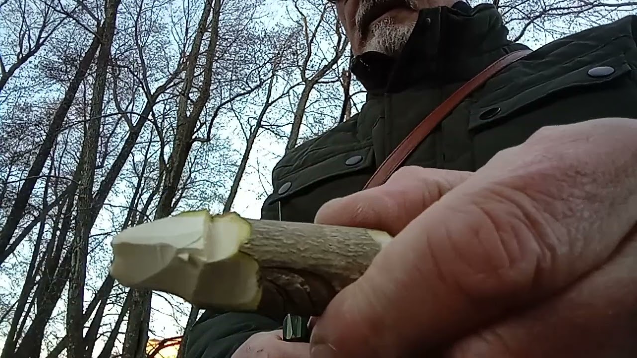 Prueba corte Nieto Grillo