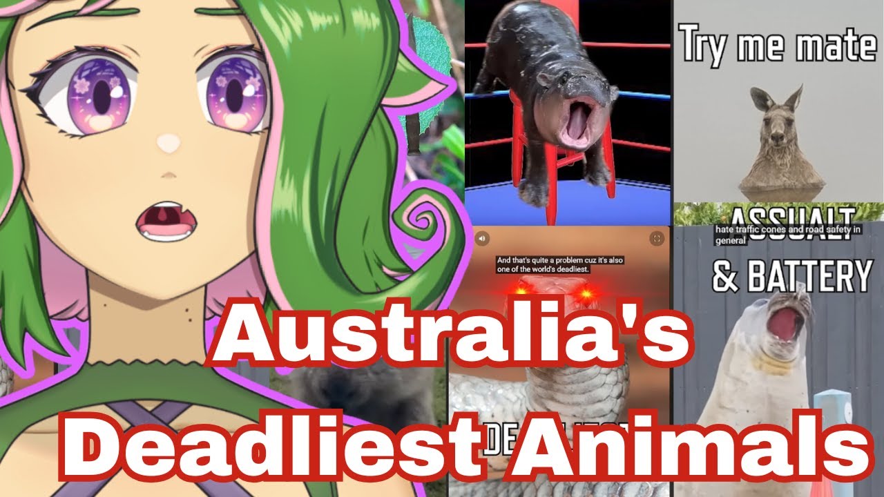 How do you SURVIVE AUSTALIA? | FIRST TIME REACTING More Parz