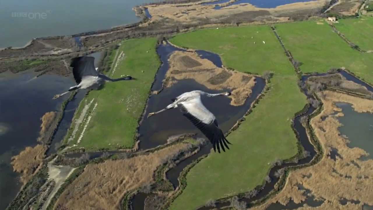 Earthflight - s01e02 - Camargue