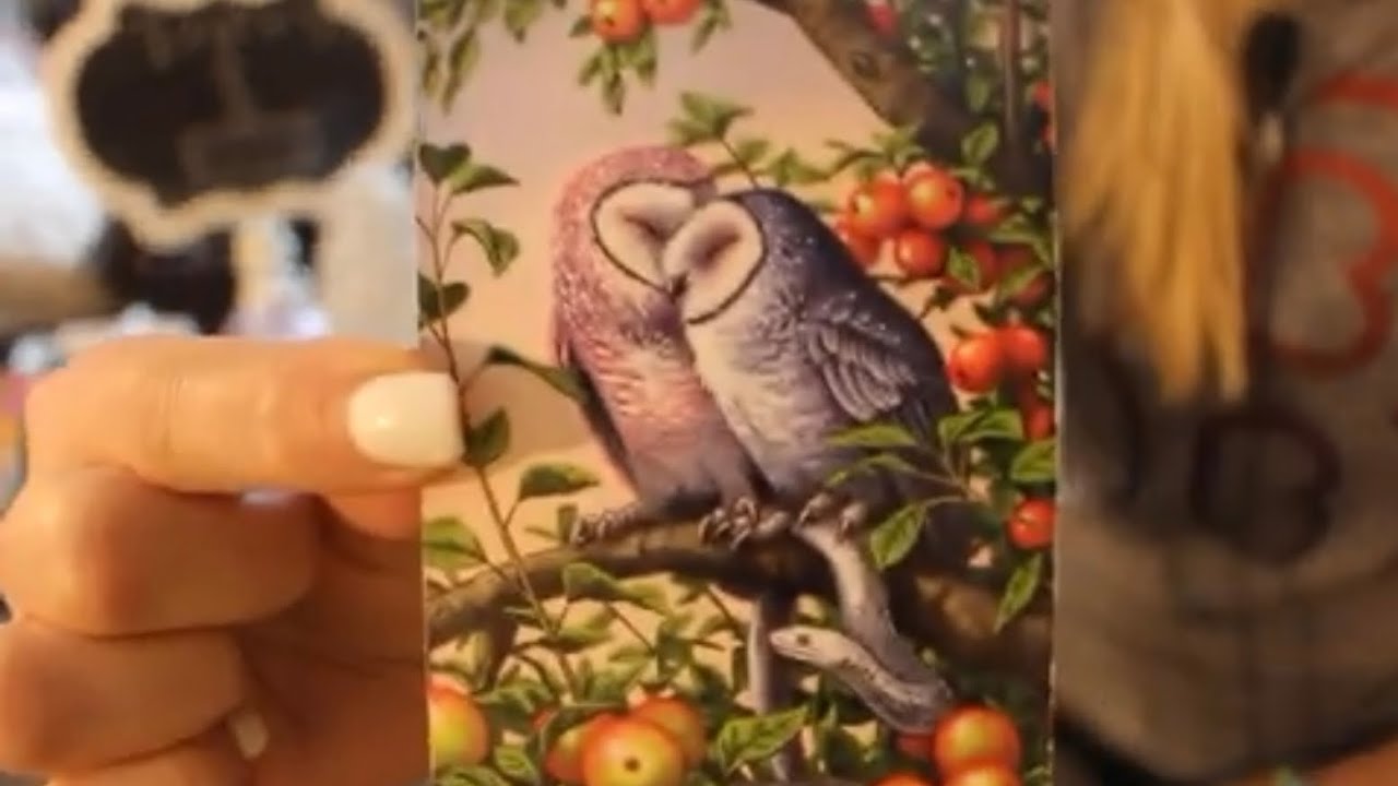 TAURUS: “OMG! YOU BETTER GET READY FOR THIS PERSON”💗😀 MAY 2023 TAROT LOVE MONTHLY