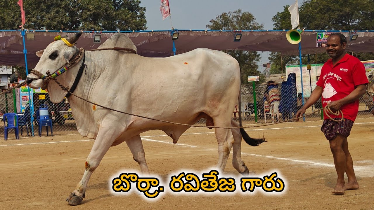 రెంటచింతల సబ్ జూనియర్స్ 2వ బొర్రా. రవితేజ గారు పుల్లల చెరువు గ్రామం మార్కాపురం జిల్లా...