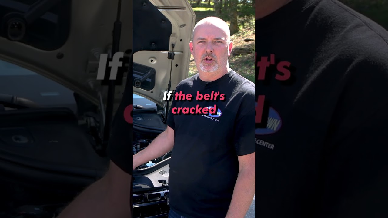 5 Things to Check Under the Hood of a Used Car