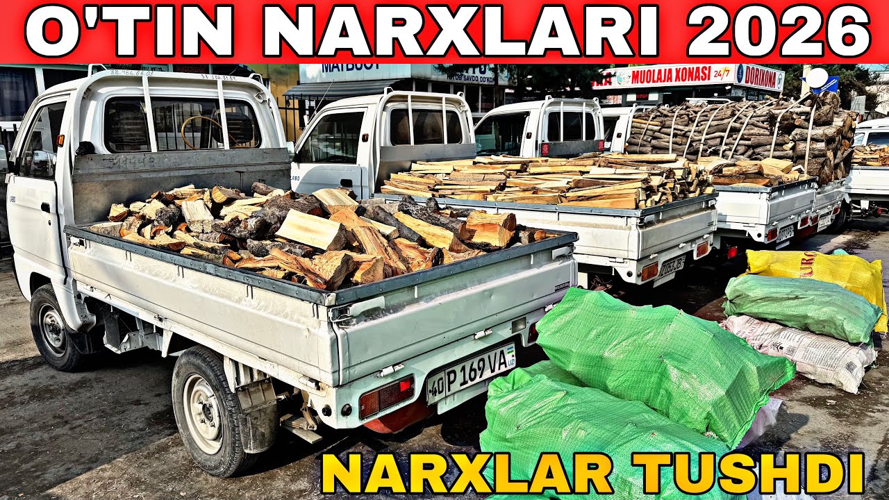 O’TIN NARXLARI TUSHDI 2026 YIL YONGOQ O’RIK TUT GILOS QURUQ O’TIN NARXLARI 2026