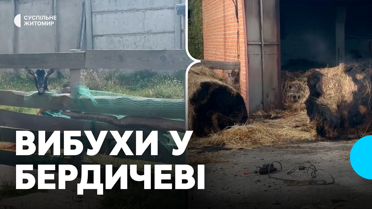 Наслідки ракетно-дронової атаки на Бердичів 10 вересня: пошкоджені господарства, автівки, зник павич