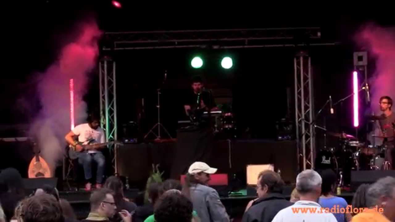 Zytanien 2014 Analogue Birds