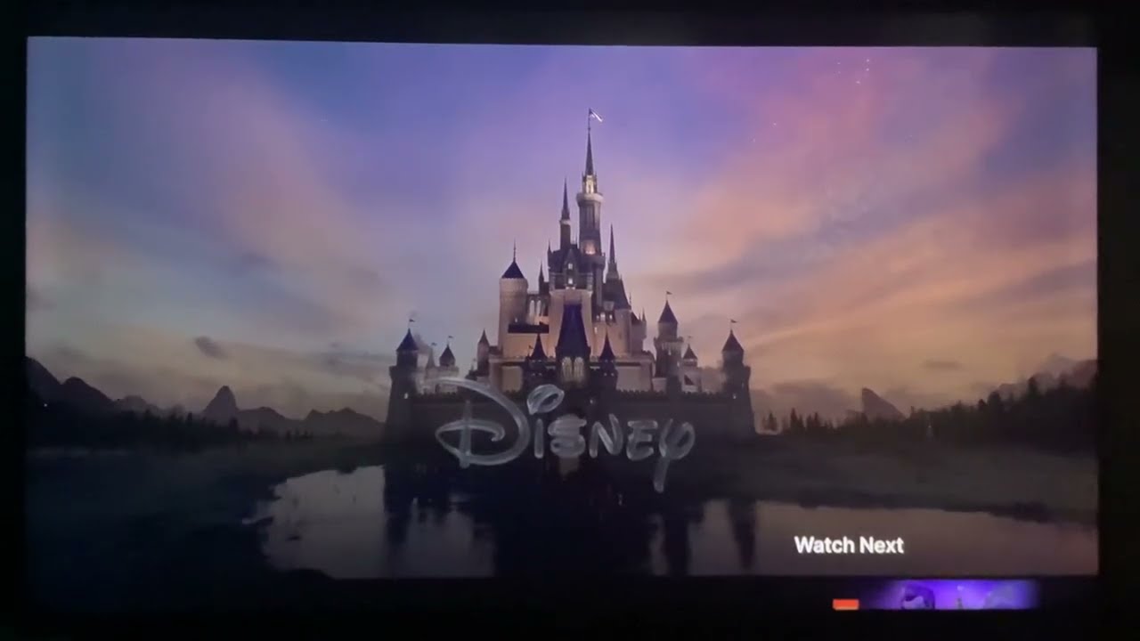 Walt Disney Studios Motion Pictures Distribution/Disney/Walt Disney Animation Studios (2024)