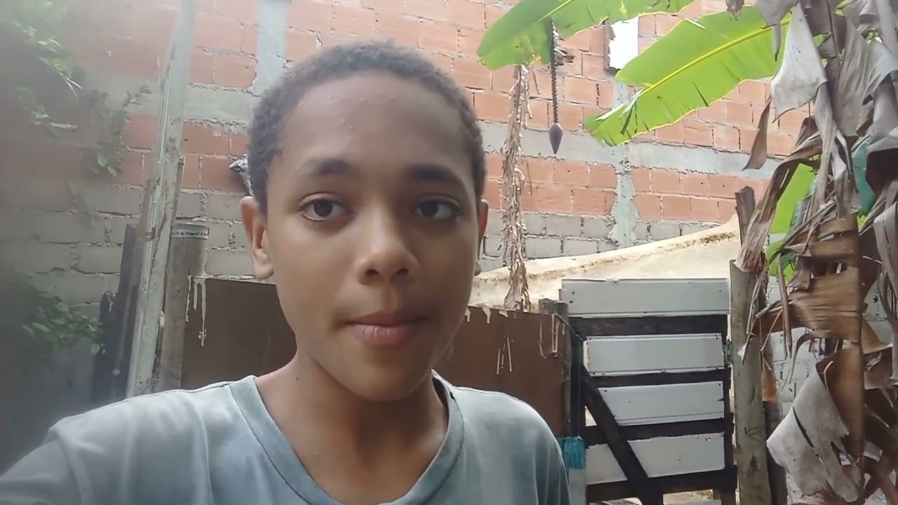 Mostrar como que tá meu gato e os meus galo e o meu quintal também