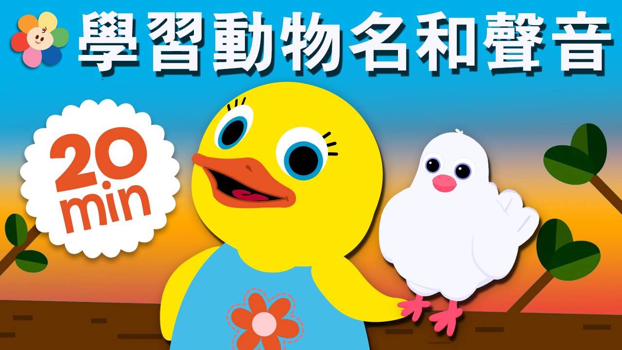 了解动物 | 蜜蜂、鹦鹉、猫头鹰，以及更多动物！| BabyFirst为幼儿准备的卡通