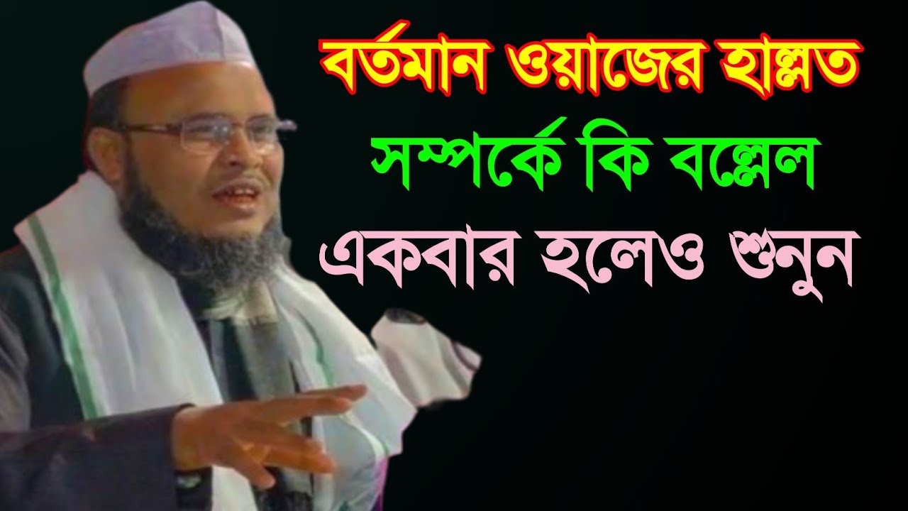বর্তমান ওয়াজের হাল্লত সম্পর্কে কি বল্লেল শুনুন || Maulana Altaf Hussain New Waz