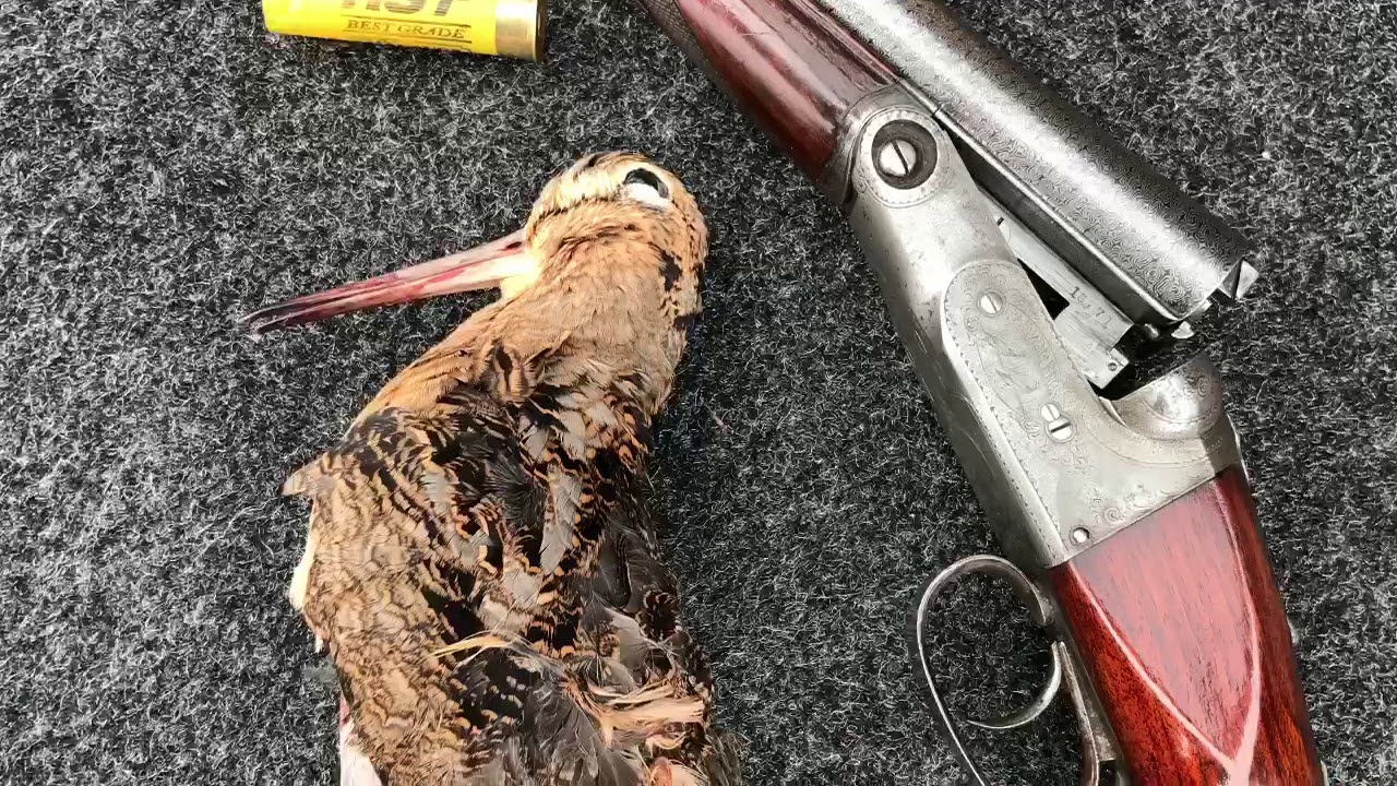Hunting Grouse and Woodcock with Parker Bros Shotguns
