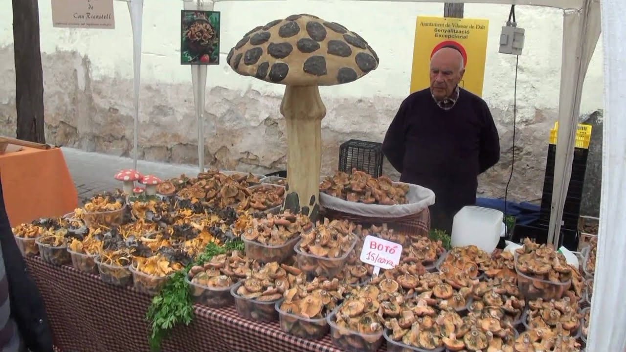 VILASSAR DE DALT 
