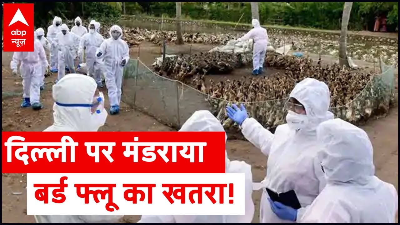 Bird flu scare in Delhi: Sanjay Lake declared alert zone