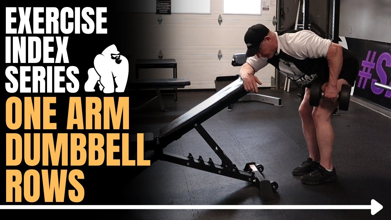 One Arm Dumbbell Row Exercise Demonstration