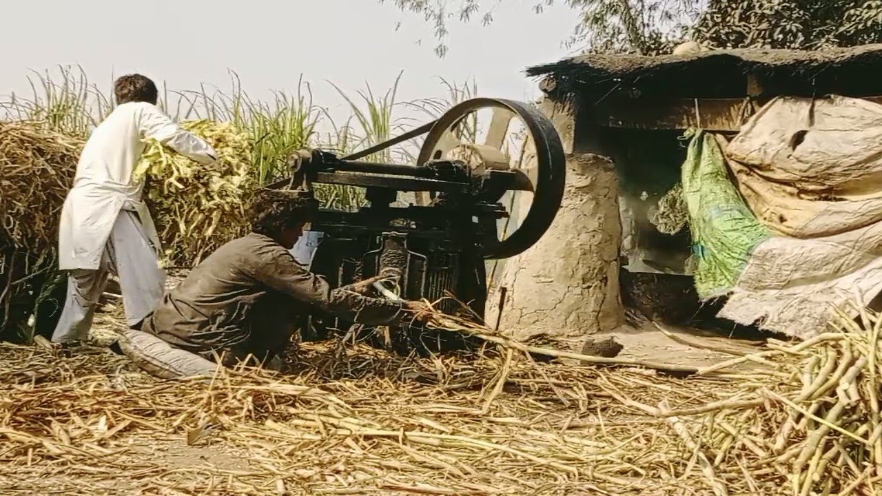 Unique Way to Extract Sugarcane Juice You Must See 😲