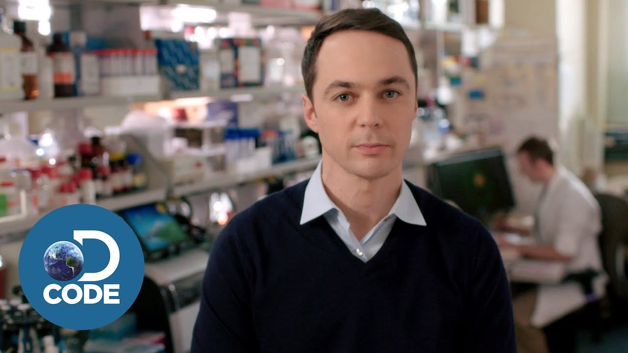 First In Human EP2 (1/6) | Preparation for Bo's Leukemia Treatment & Anita's Melanoma Treatment